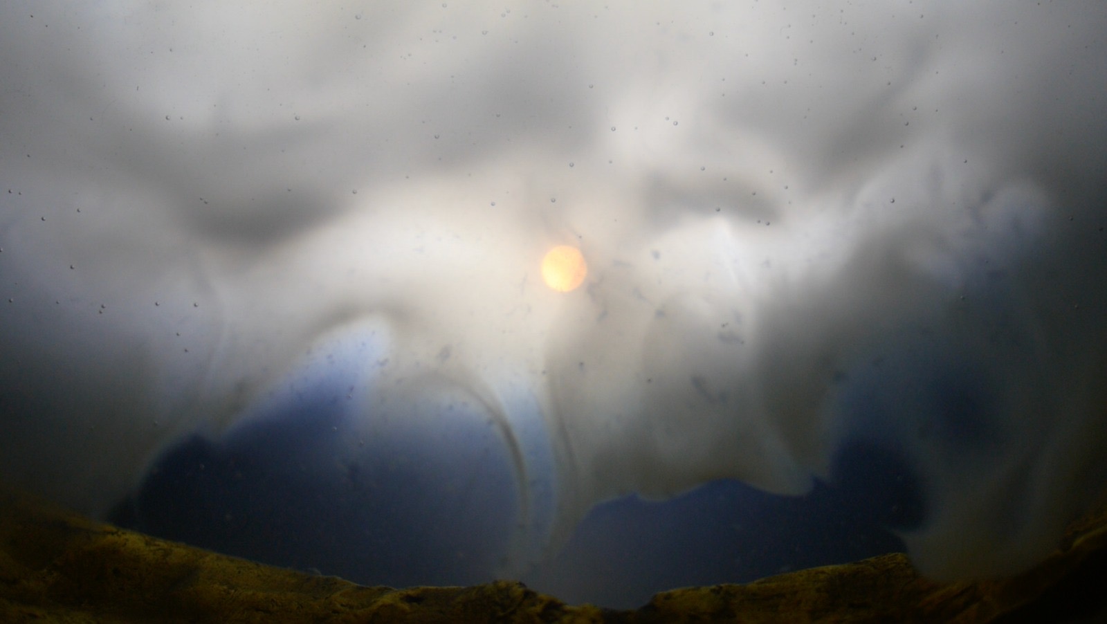 Glauque (Into the Mist)